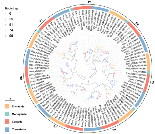 Comparative Genomic Analysis of the ApeC Protein Family.