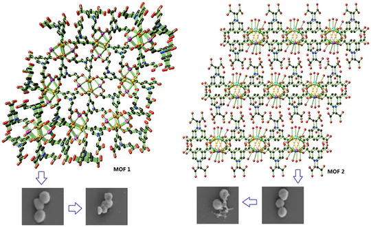 The Synthesis of bio-nano material: MOFs(Metal-Organic Frameworks)