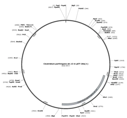 Recombinant Expression of PFO Protein through Genetic Engineering