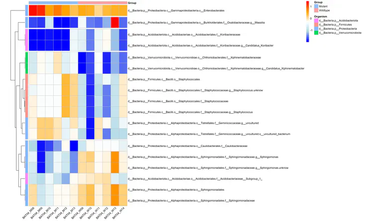 heatmap.png